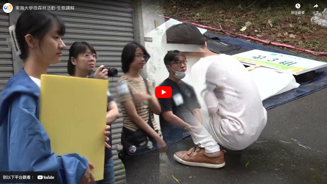 封面-東海大學微森林活動-生態講解-m