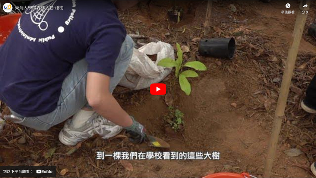 封面-東海大學微森林活動-種樹-m