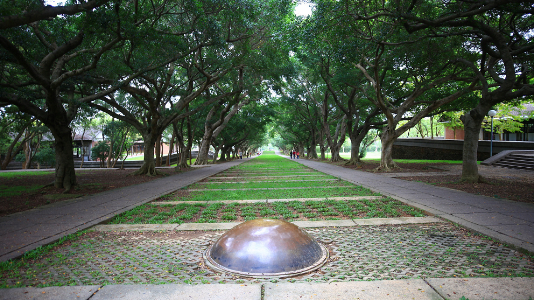 認養區域：文理大道-2