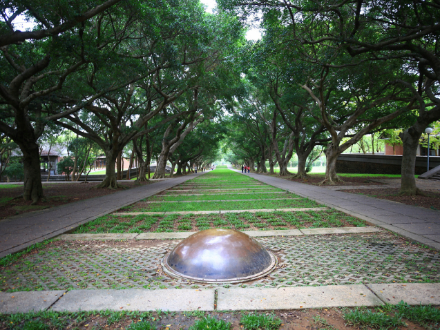 認養區域：文理大道-2